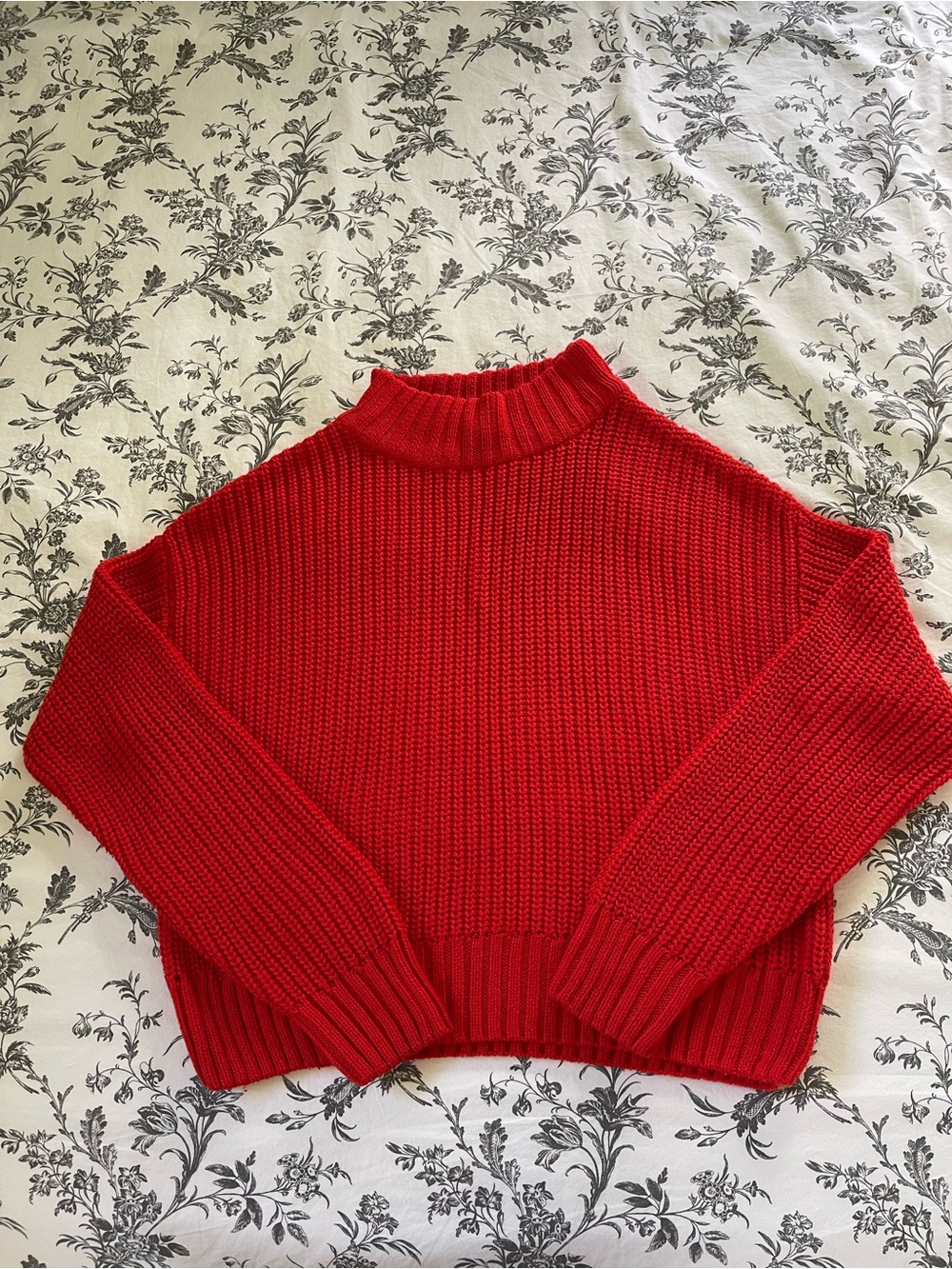 H&M Red Sweater